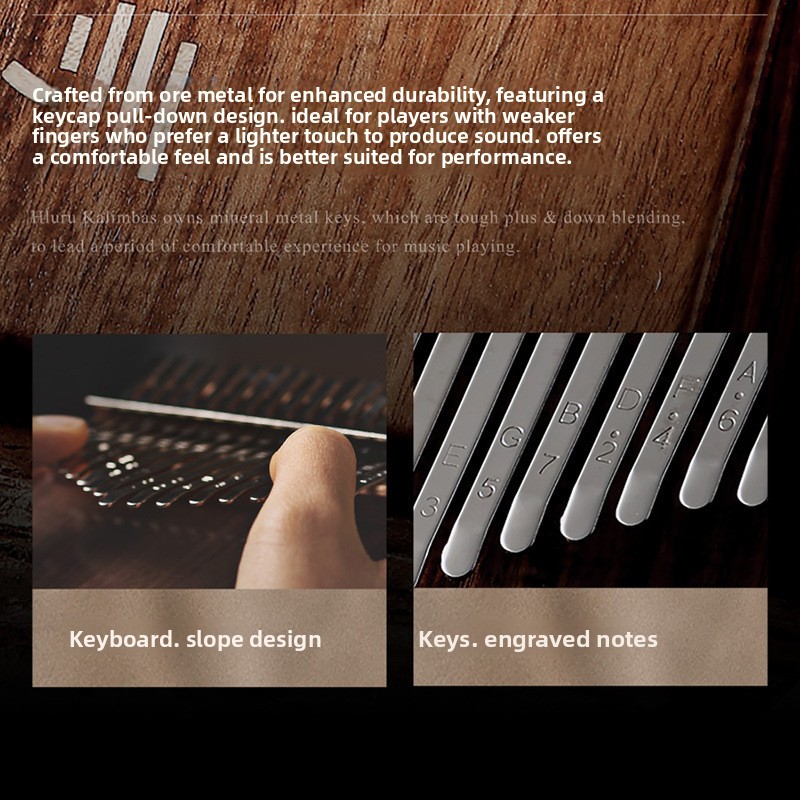 Class B Bottom Perforated Thum - Musical Instrument Band 评论和价格