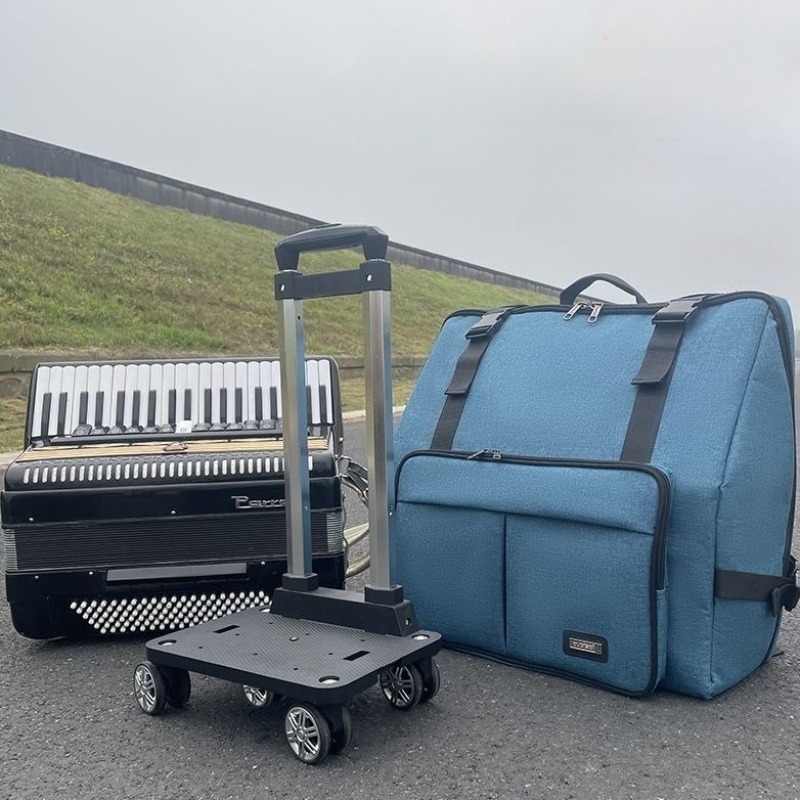 60/96/120 Thicken Accordion Ba - Musical Instrument Bass 评论和价格