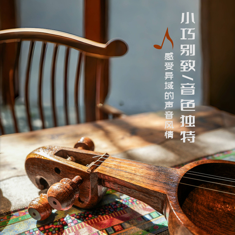 Nepalese salangi, alternative  - Musical Instrument Groups 评论和价格