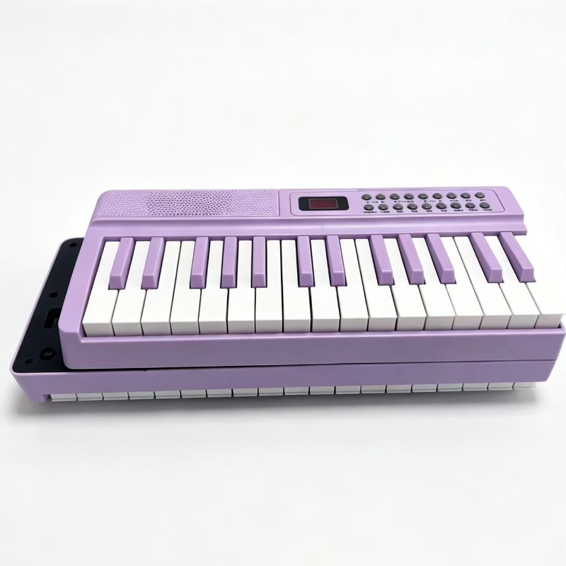 61-Key Portable Digital Piano  - Musical Instrument Names 评论和价格